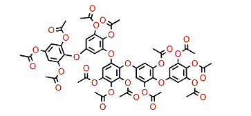 Pseudopentafuhalol B tridecaacetate